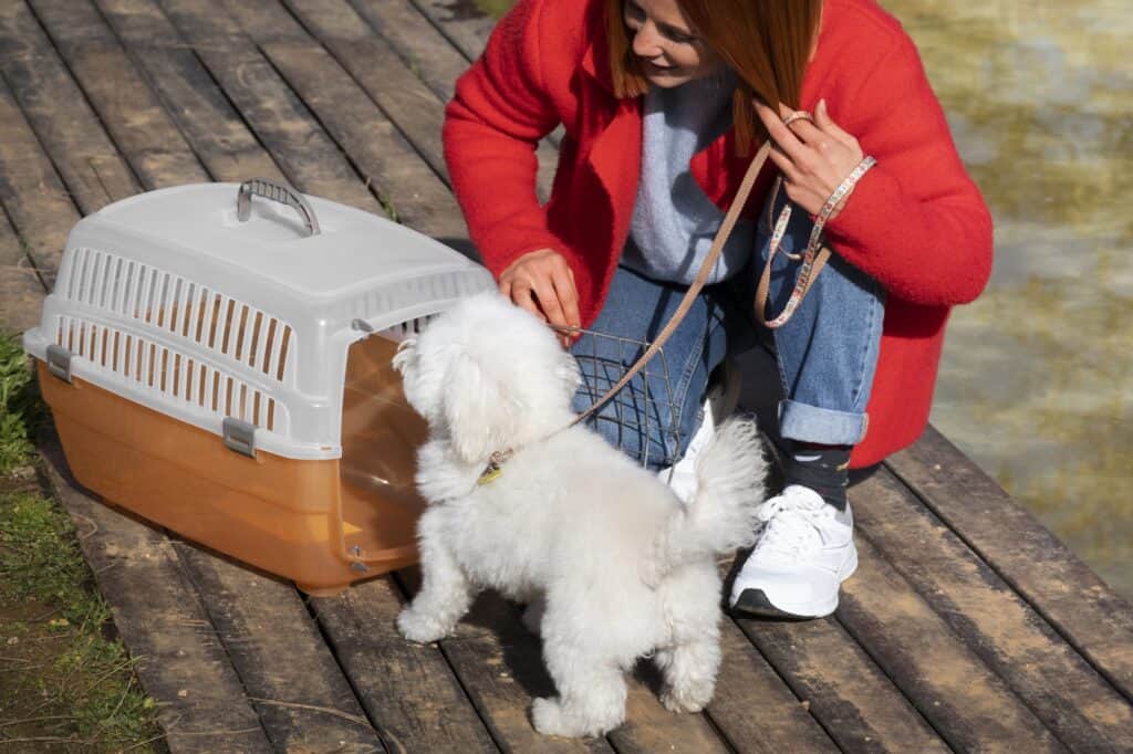 The dog entering the pet carrier in preparation for the moving day
