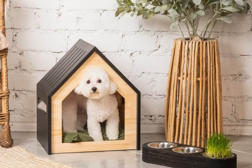 A pet dog in its house after the move
